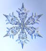 Snöflinga123 profilbild