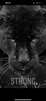 Sarasyr Profilbild