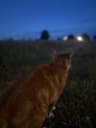 Nicko23 profilbild