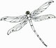 Dragonfly's picture